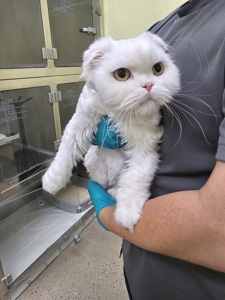 반려동물보호센터_443571202502976